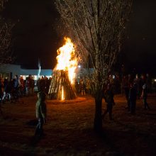 Virš tūkstančio žmonių Laisvės gynėjų dieną minėjo prie Seimo