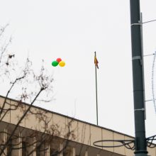 Lietuva švenčia: pakeltos vėliavos, tūkstantinė minia dalyvavo eitynėse