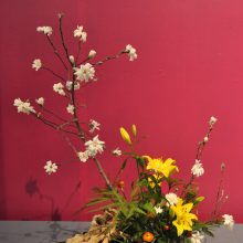 Ikebana – japoniškos meilės gėlėms burtažodis