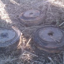 Danės upėje kariai aptiko tris minas