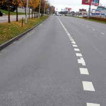 Klaipėdos gatvės – lyg margutis