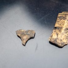 Archeologai Kauno senamiestyje tikisi surasti tupyklą