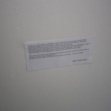 Žaliakalnio rajonas – dabarties ir praeities sandūroje