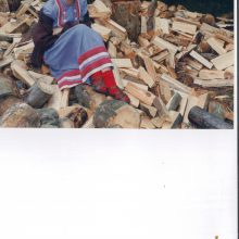 1996 m.: pirmieji metai Molėtų rajone, Šaparnėje
