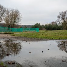 Panemunės šilo pertvarkos: kokie darbai padaryti?