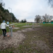 Panemunės šilo pertvarkos: kokie darbai padaryti?