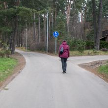 Panemunės šilo pertvarkos: kokie darbai padaryti?