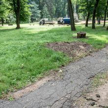 Kaune nesibaigia parkų tvarkymo vajus – ateina ir Ramybės parko eilė