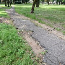 Kaune nesibaigia parkų tvarkymo vajus – ateina ir Ramybės parko eilė