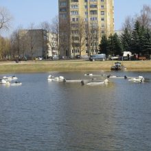 Su amfibijomis pradėtas valyti Kalniečių parko tvenkinys