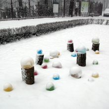 Botanikos sodą papuošė ledo burbulais