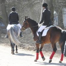 Atsigaunančiame Marvelės žirgyne – „Žirgų baletas“