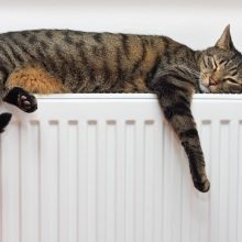 Nuo ko priklauso būsto šiluma ir mažesnės šildymo sąskaitos?