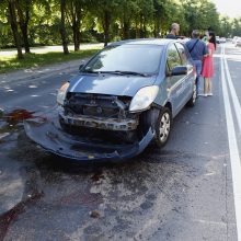 Briedis Klaipėdoje sukėlė avariją