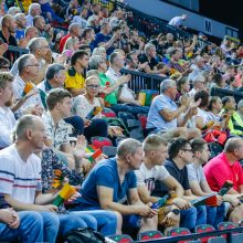 Europos rankinio čempionato atranka: Prancūzija sutriuškino Lietuvos rinktinę