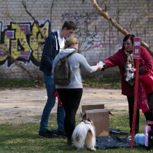 Akcija „Darom“: nustebino sostinės centre rastų batų galybė