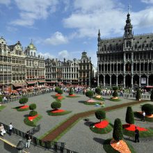 Briuselyje - Rojaus sodas iš lauro medžių ir begonijų