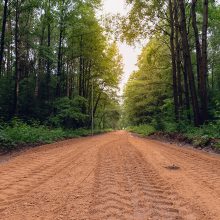 Kleboniškio miške pluša kelininkai – atnaujinami dviračių ir pėsčiųjų takai