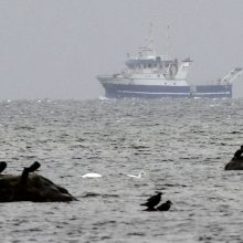 Danijoje dėl žurnalistės nužudymo teisiamas išradėjas kaltę neigia