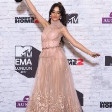MTV Europos muzikos geriausio atlikėjo apdovanojimas atiteko S. Mendesui
