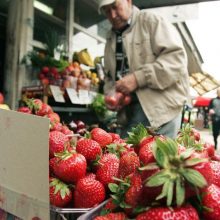 Lietuviškos braškės – po 20 litų, bet pirkėjų netrūksta