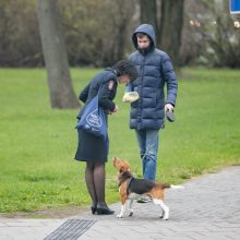 Vilniaus savivaldybėje – šuns diena: ir meras dirbo su augintiniu