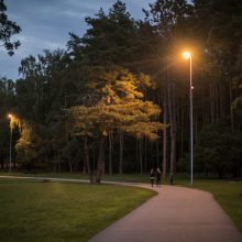 Pagaliau nušvito ilgus metus tamsoje skendėję Vingio parko takai