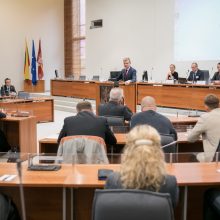 Vilnius planuoja sumažinti automobilių srautus