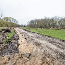 Kalniečių parke verda intensyvūs darbai