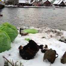 „Vienu įkvėpimu“ nuo šiukšlių vadavo Galvės ežerą