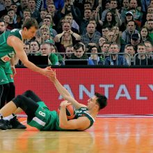 Ketvirtajame kėlinyje lyg ant sparnų žaidęs „Žalgiris“ patiesė „Panathinaikos“