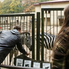 Šeštadienis zoologijos sode