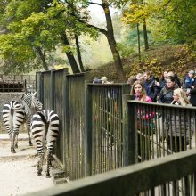 Šeštadienis zoologijos sode