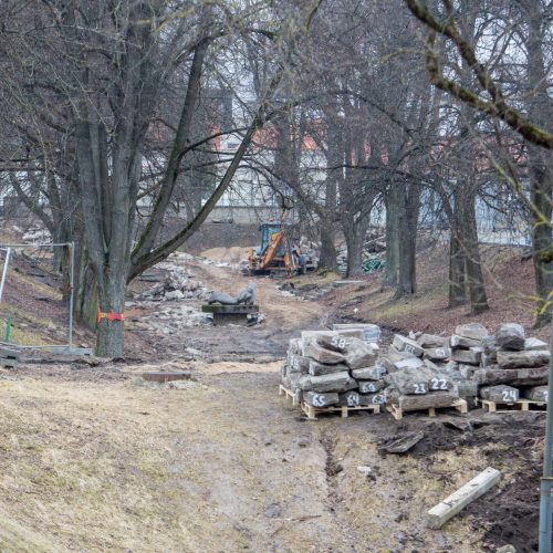 Piketas dėl Kauko laiptų medžių  © Vilmanto Raupelio nuotr.