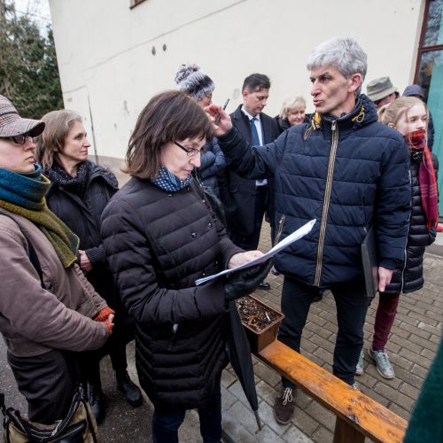 Piketas dėl Kauko laiptų medžių  © Vilmanto Raupelio nuotr.