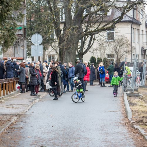 Piketas dėl Kauko laiptų medžių  © Vilmanto Raupelio nuotr.