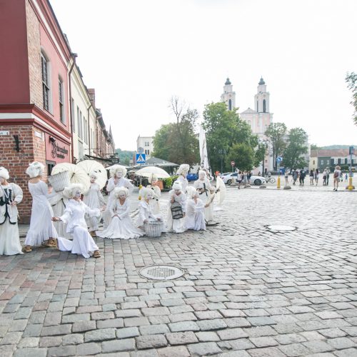 Tarptautinė Aludarių diena Kaune 2018  © Vilmanto Raupelio nuotr.