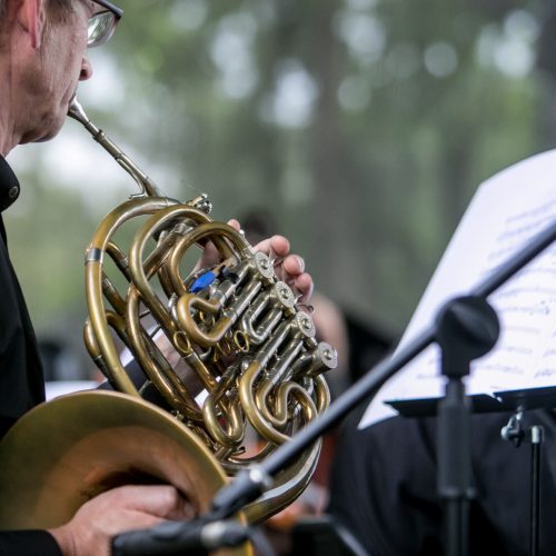 Pažaislio muzikos festivalis „Užburtasis muzikos sodas“  © Vilmanto Raupelio nuotr.