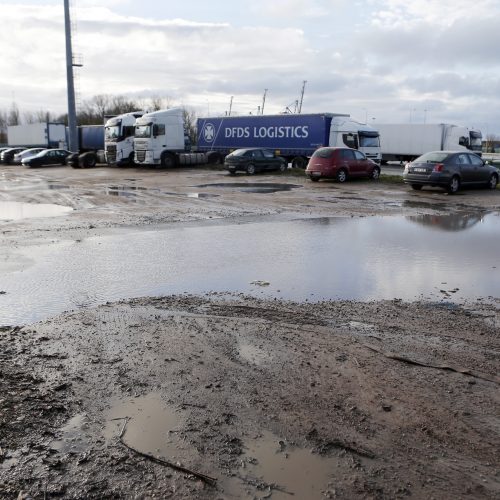 Vilkikai įsikraustė į svetimą žemę  © Vytauto Petriko nuotr.