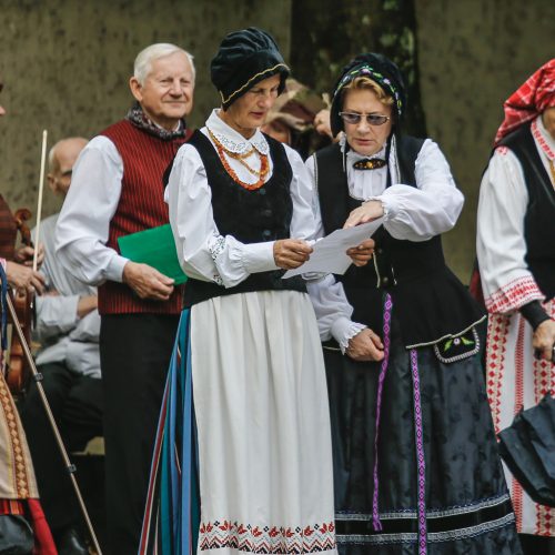 Baltų vienybės diena  © Vytauto Petriko nuotr.