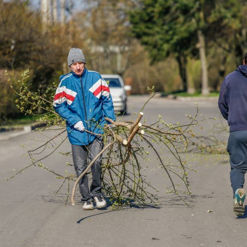 Darom 2018 Klaipėdoje  © Vytauto Petriko nuotr.