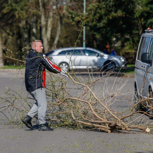 Darom 2018 Klaipėdoje  © Vytauto Petriko nuotr.