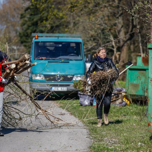 Darom 2018 Klaipėdoje  © Vytauto Petriko nuotr.