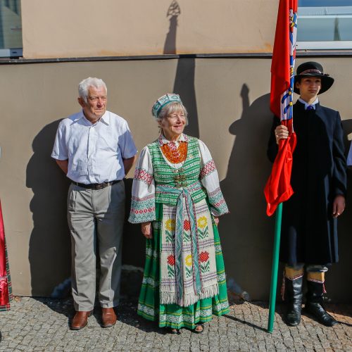 Atidengta atminimo lenta V. Didžiui  © Vytauto Petriko nuotr.