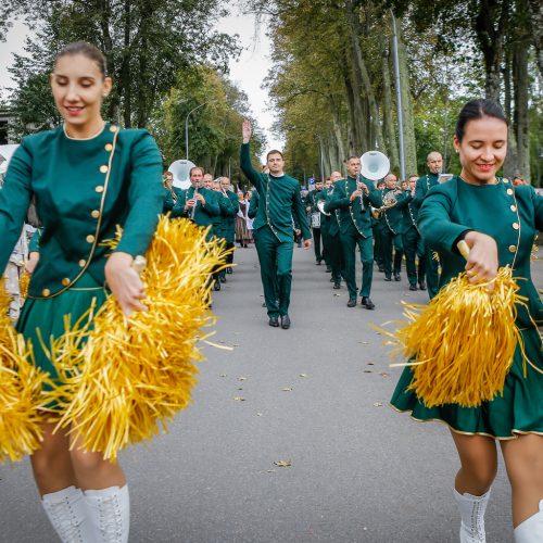 Palanga pražydo ir suskambo tarptautiniu folkloro festivaliu  © Vytauto Petriko nuotr.