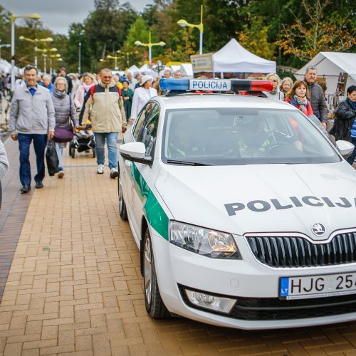 Palanga pražydo ir suskambo tarptautiniu folkloro festivaliu  © Vytauto Petriko nuotr.