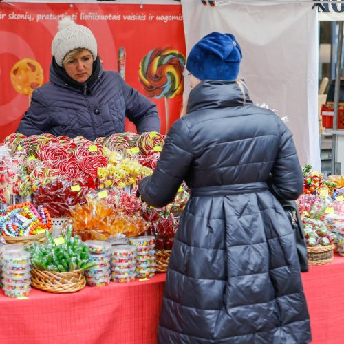 Palangos stinta 2019  © Vytauto Petriko nuotr.