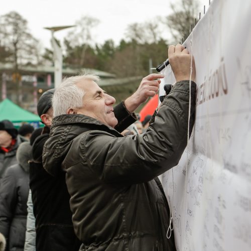 Palangos stinta 2019  © Vytauto Petriko nuotr.