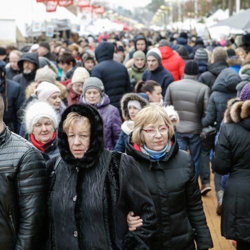 Palangos stinta 2019  © Vytauto Petriko nuotr.