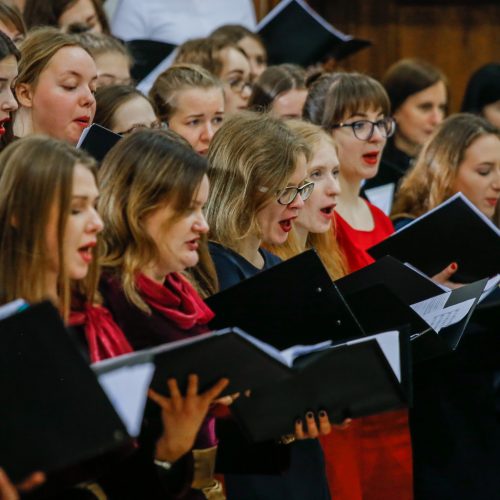 XX Lietuvos aukštųjų mokyklų studentų chorų festivalio baigiamasis koncertas  © Vytauto Petriko nuotr.